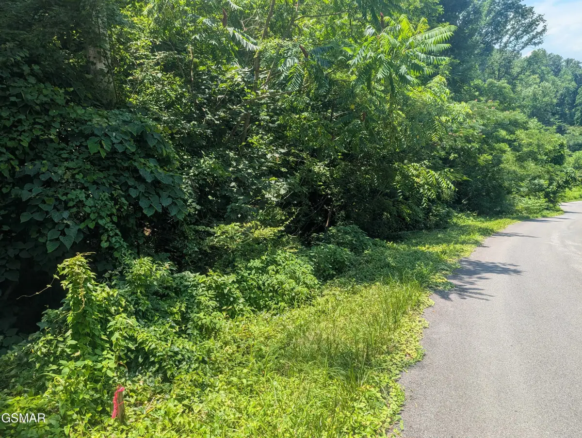 0 Beech Branch Road, Gatlinburg, TN 37738 - Image #1