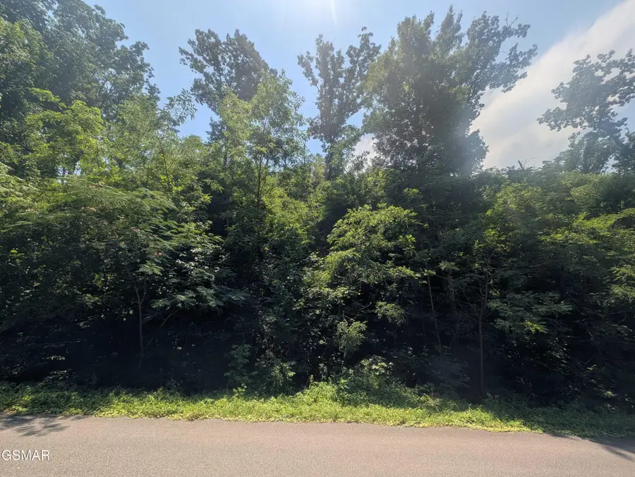 0 Beech Branch Road, Gatlinburg, TN 37738 - Image #2