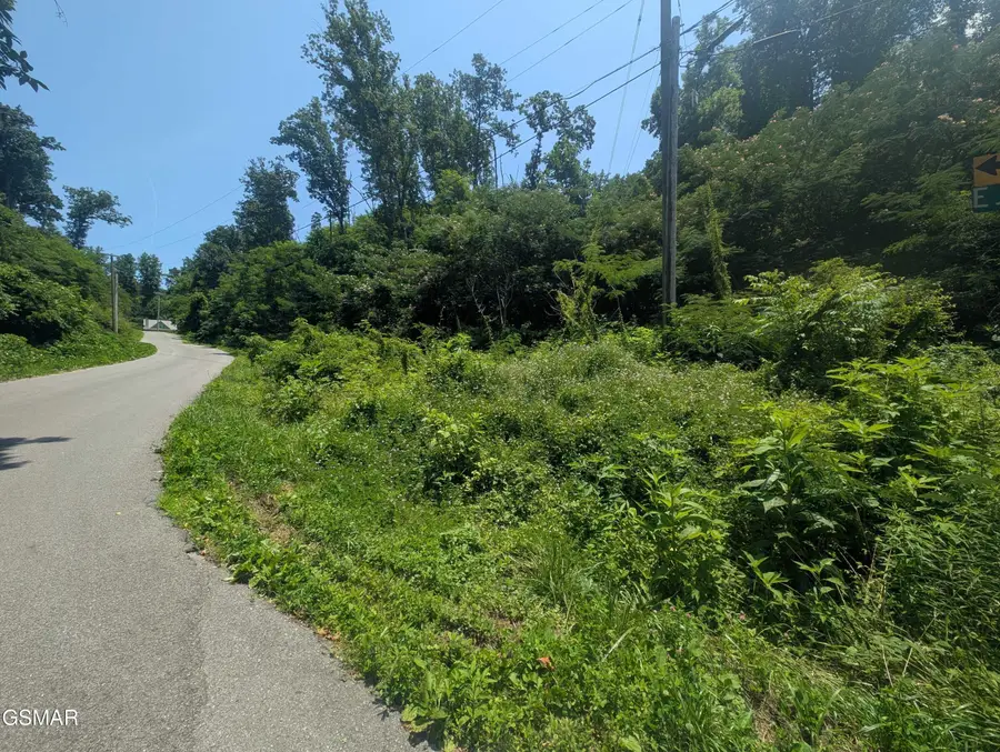 0 Beech Branch Road, Gatlinburg, TN 37738 - Image #3