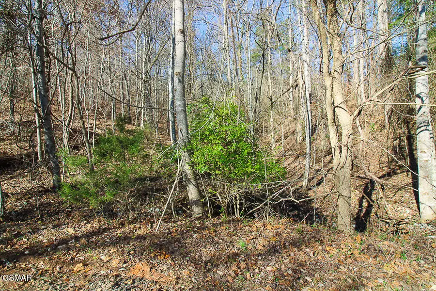 Lot 421 Mystic Star Drive, New Tazewell, TN 37825 - Image #2