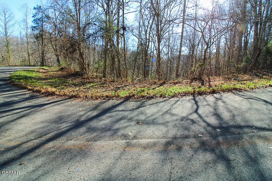 Lot 421 Mystic Star Drive, New Tazewell, TN 37825 - Image #3