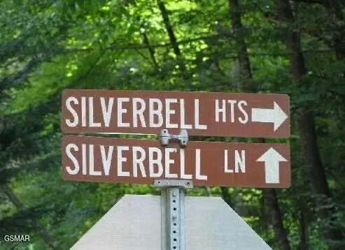 329 Silverbell Lane, Gatlinburg, TN 37738 - Image #1