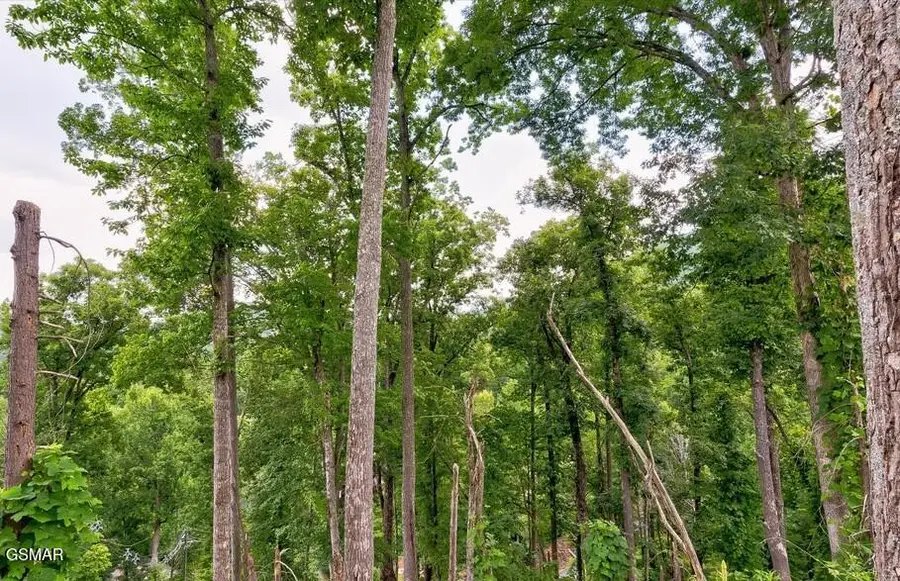 329 Silverbell Lane, Gatlinburg, TN 37738 - Image #3