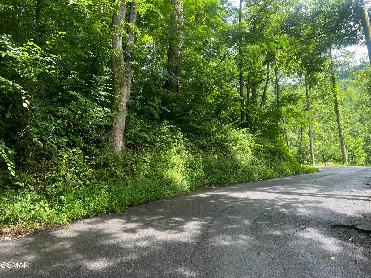 752 Loop Road, Gatlinburg, TN 37738 - Image #1