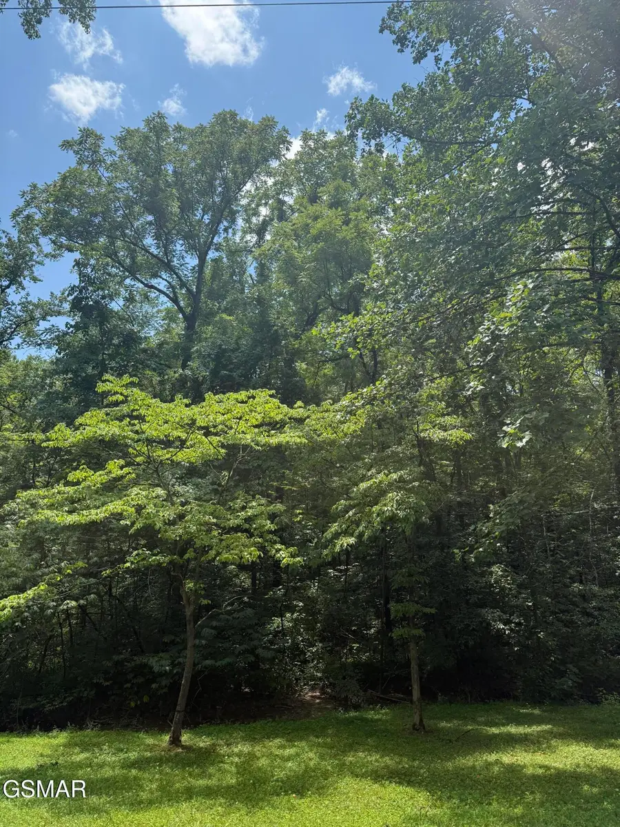 0 Loraine Street, Pigeon Forge, TN 37863 - Image #3