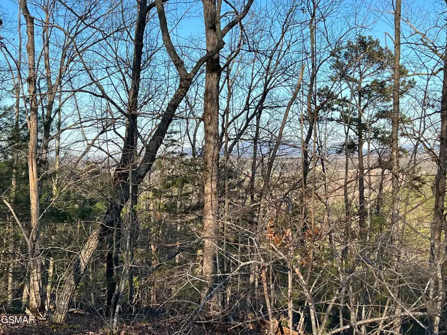 0 Henderson Springs Road, Pigeon Forge, TN 37863 - Image #2