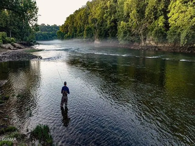 2049 River Mist Circle, New Market, TN 37820 - #2