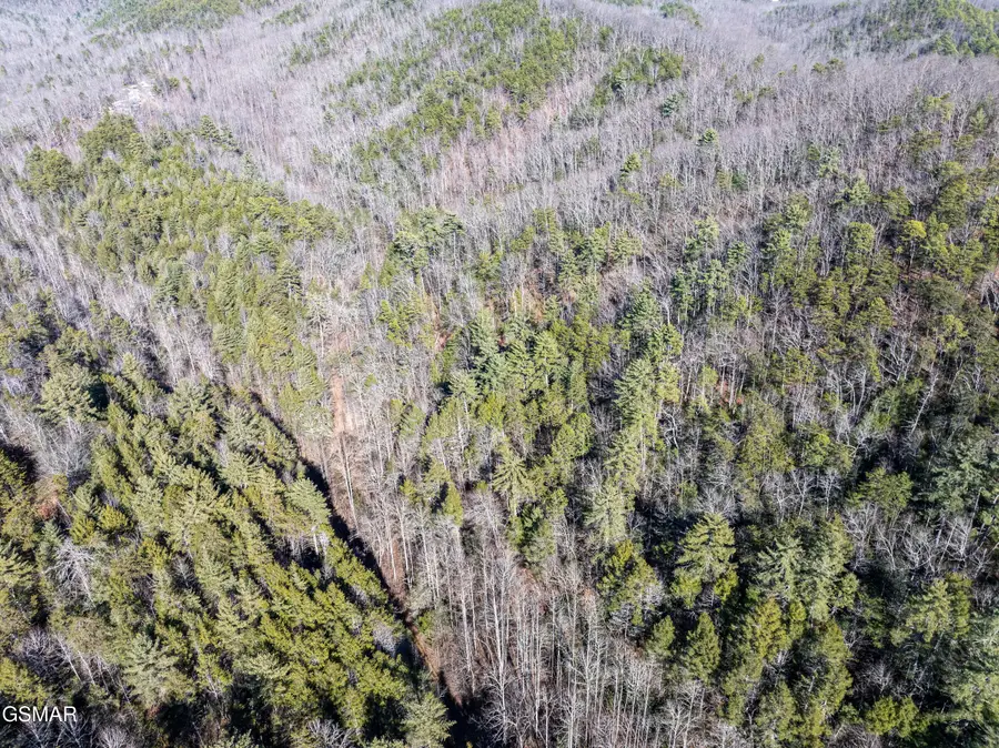 Tract 4 Wilhite Road, Sevierville, TN 37876 - #2