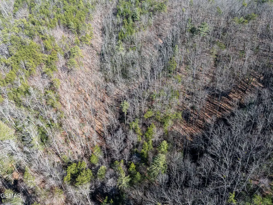 Tract 4 Wilhite Road, Sevierville, TN 37876 - #3