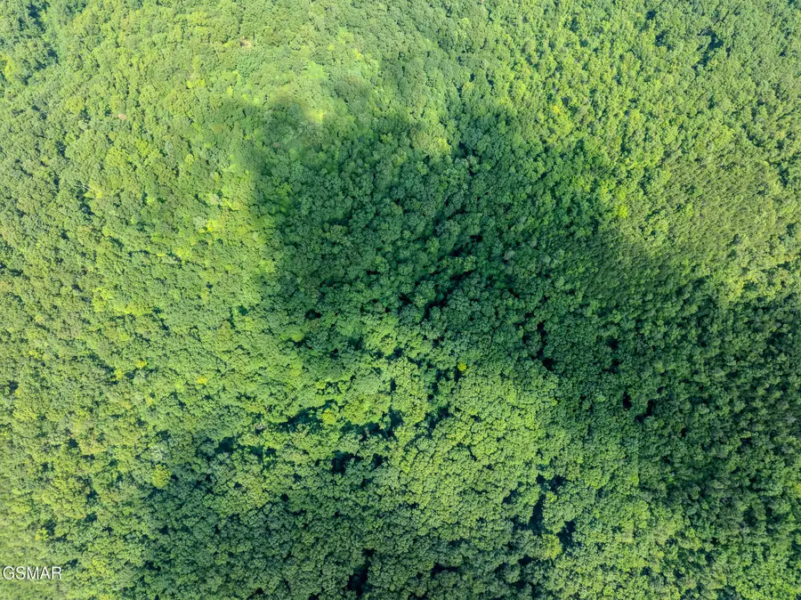 0 Overview Way, Newport, TN 37821 - Image #2