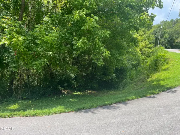 Lot 8 Indian Gap Circle, Sevierville, TN 37876