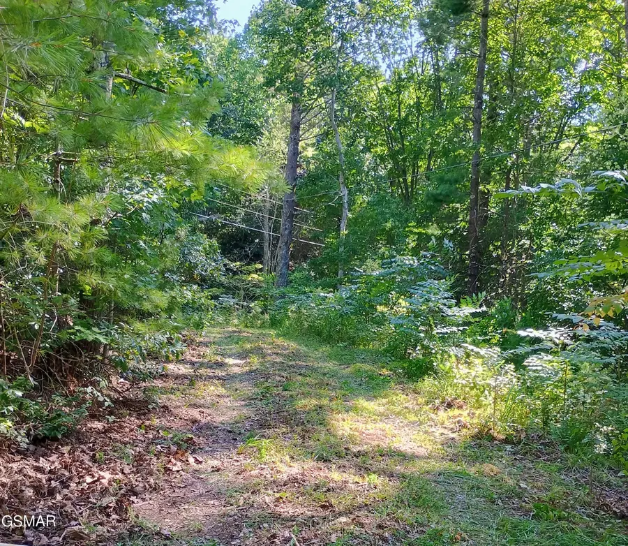 0 Rivendell Lane, Tellico Plains, TN 37385 - Image #2