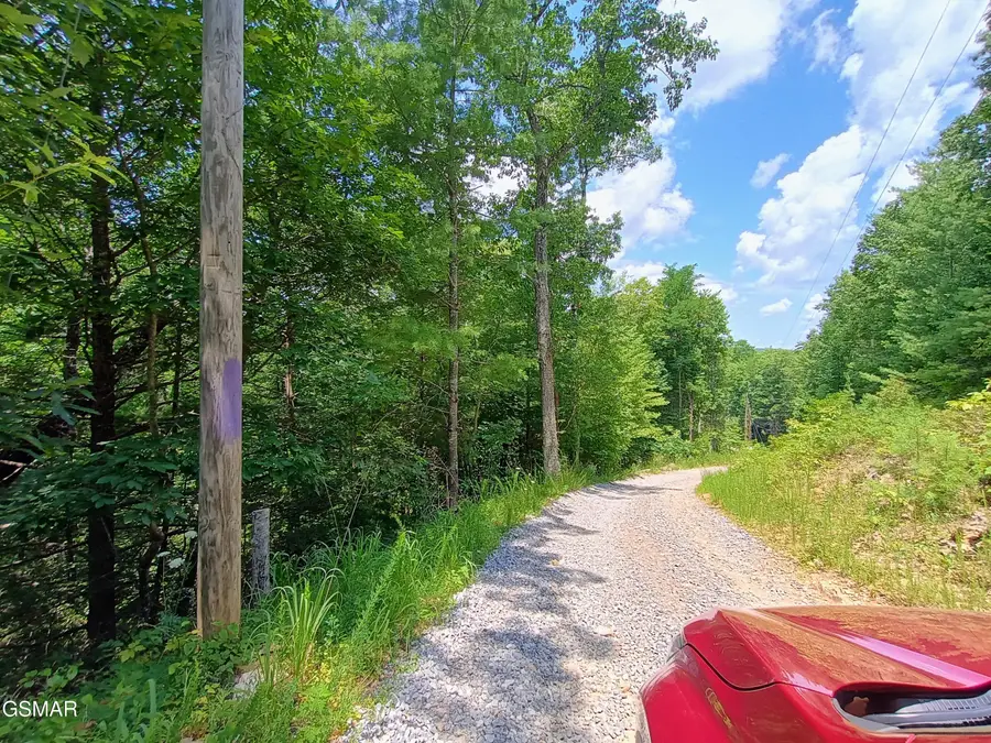 0 Rivendell Lane, Tellico Plains, TN 37385 - Image #3