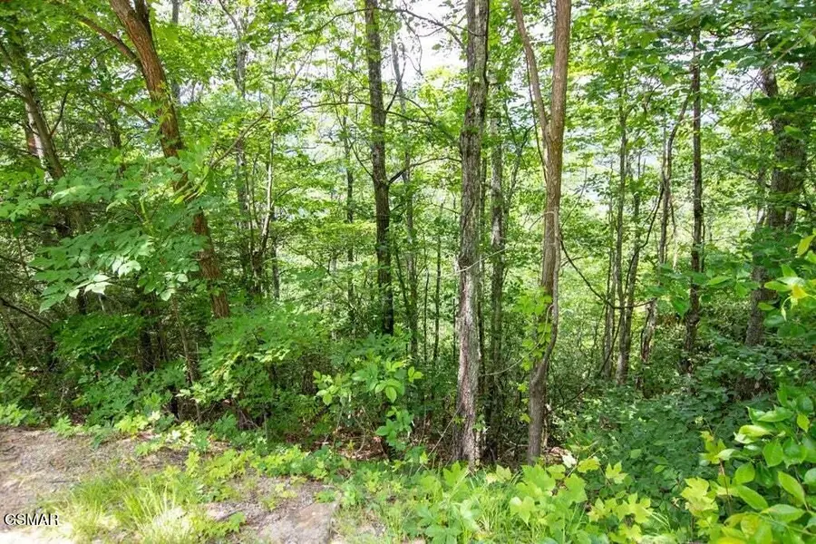 Lot 4 Enclave Park Way, Gatlinburg, TN 37738 - Image #2