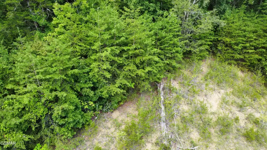 Lot 56 Emerald Pointe Boulevard, Sevierville, TN 37876 - Image #3