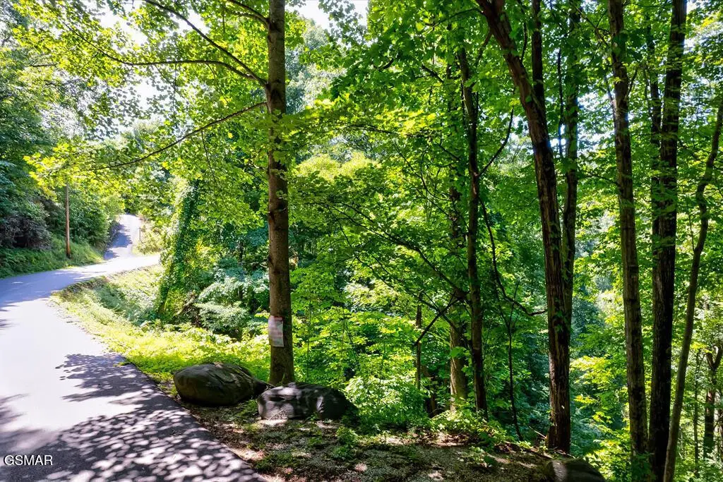 000 Ski Mtn, Gatlinburg, TN 37738 - Image #1