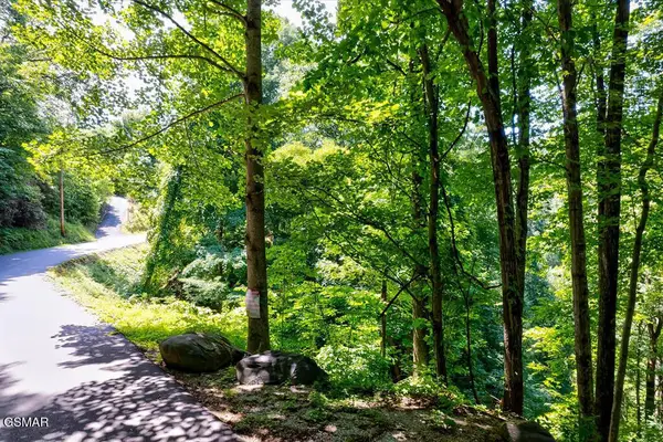 000 Ski Mtn, Gatlinburg, TN 37738