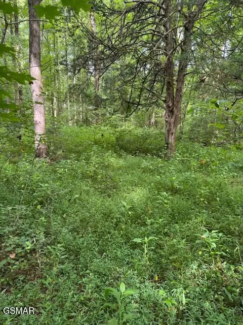 Lot 2 Timber Lake Drive, Cosby, TN 37722 - Image #2