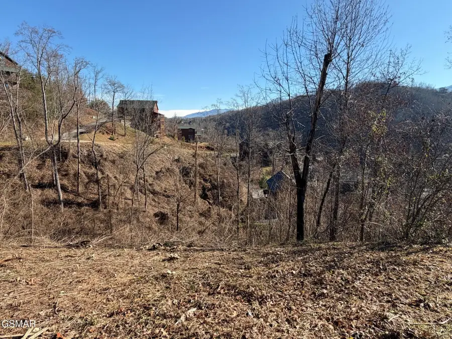 335 W Pinnacle Drive, Gatlinburg, TN 37738 - Image #3