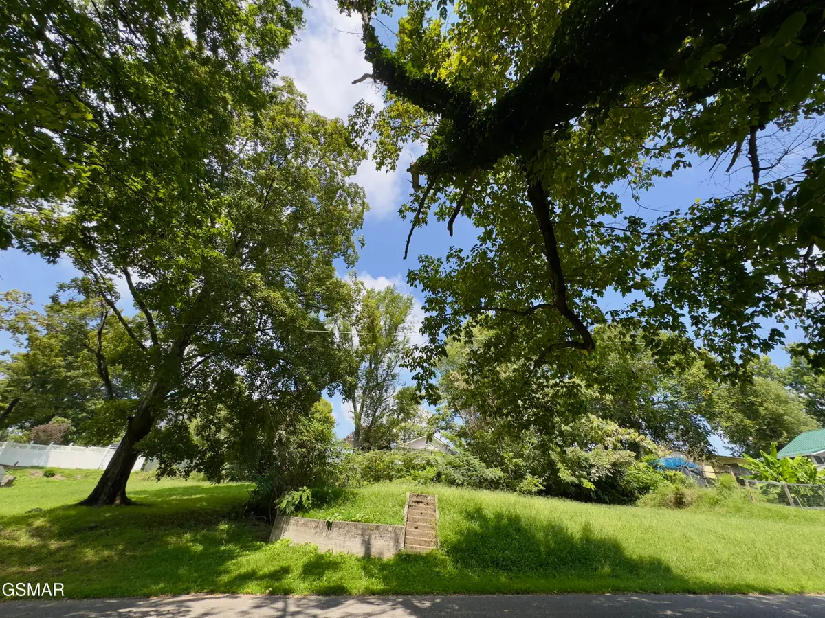 215 E 5th North Street, Morristown, TN 37814 - #1