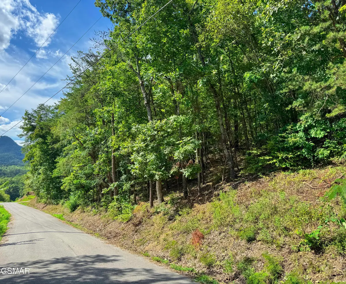 NA Helton Road, Sevierville, TN 37876 - Image #1