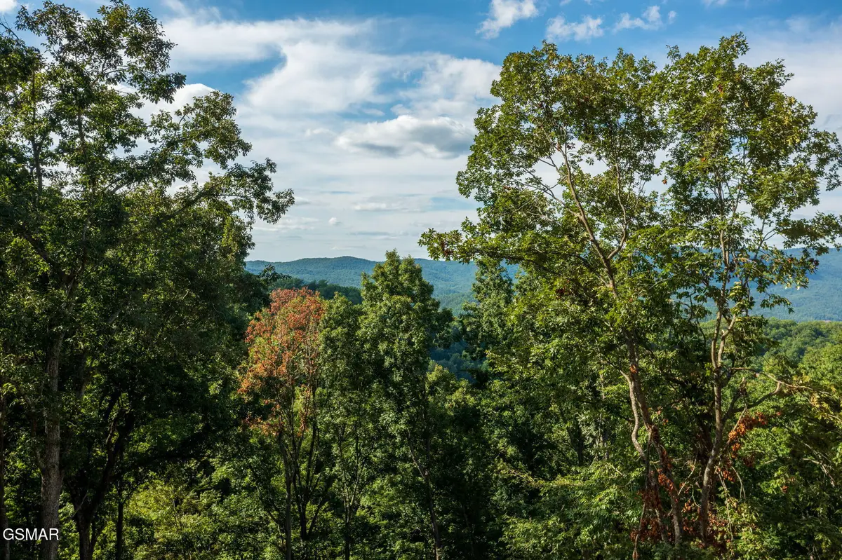 Lot 12 Overholt Trail, Sevierville, TN 37876 - #1
