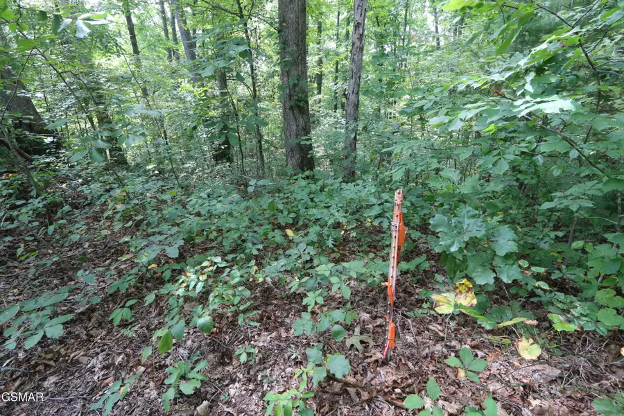 4045 Sutton Road, Sevierville, TN 37876 - #2