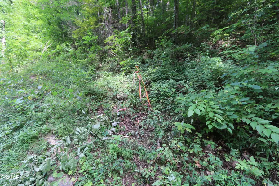 4045 Sutton Road, Sevierville, TN 37876 - #3