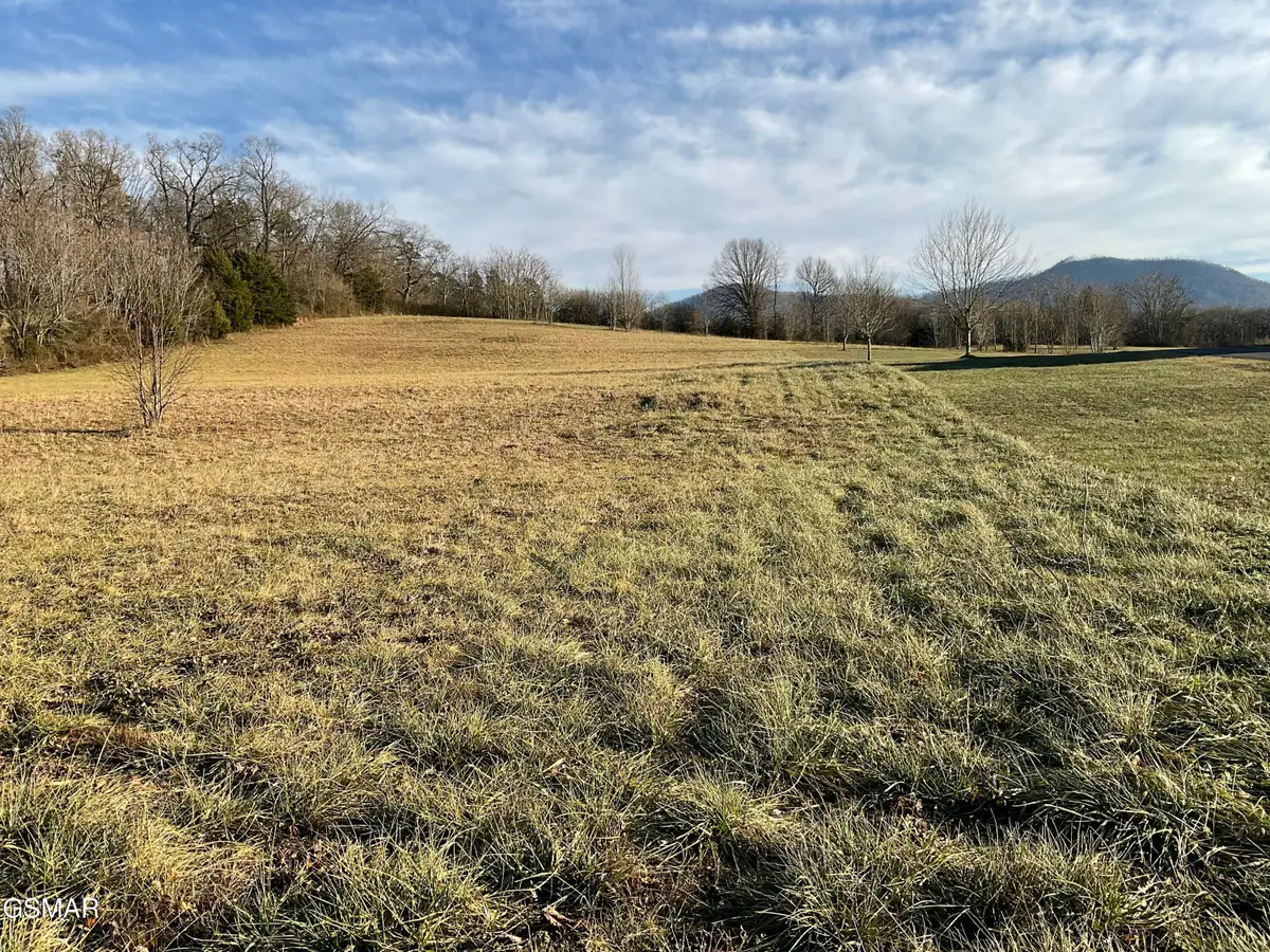 4169 Newport Highway, Sevierville, TN 37876 - #1