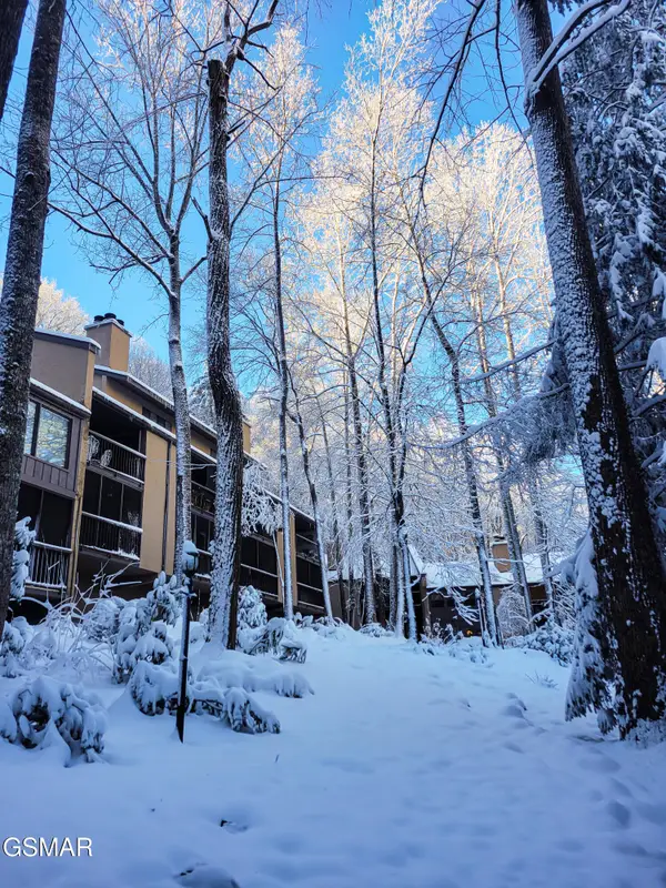 1235 Ski Mountain Road #610, Gatlinburg, TN 37738