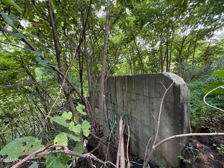 670 Pinecrest Drive, Gatlinburg, TN 37738 - Image #3