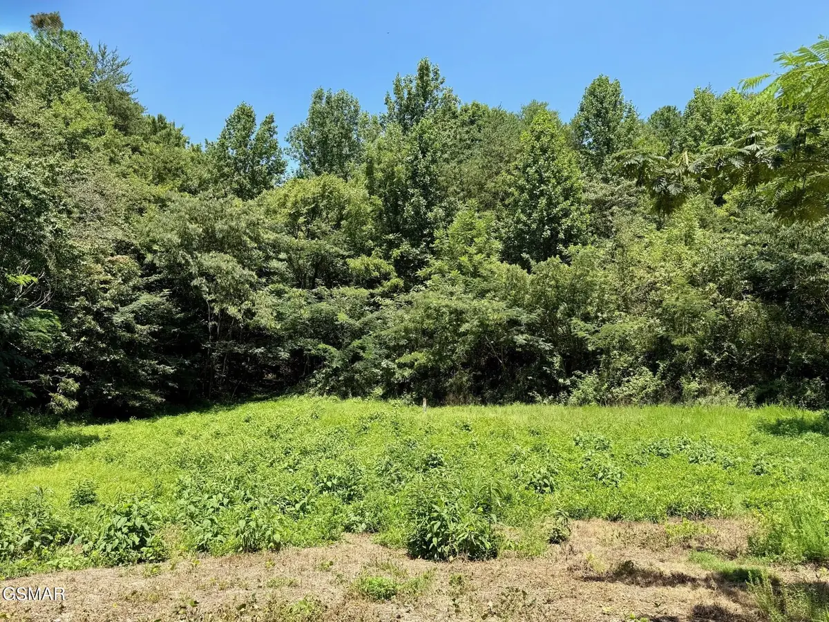 Lot 0000 Ogle Drive, Pigeon Forge, TN 37863 - Image #1