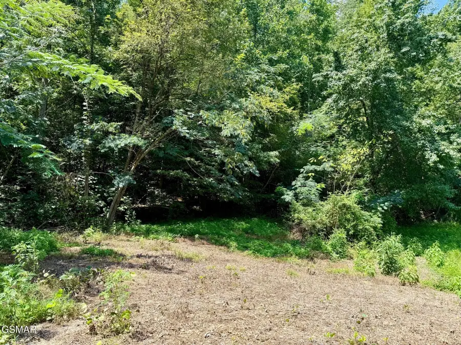 Lot 0000 Ogle Drive, Pigeon Forge, TN 37863 - Image #2