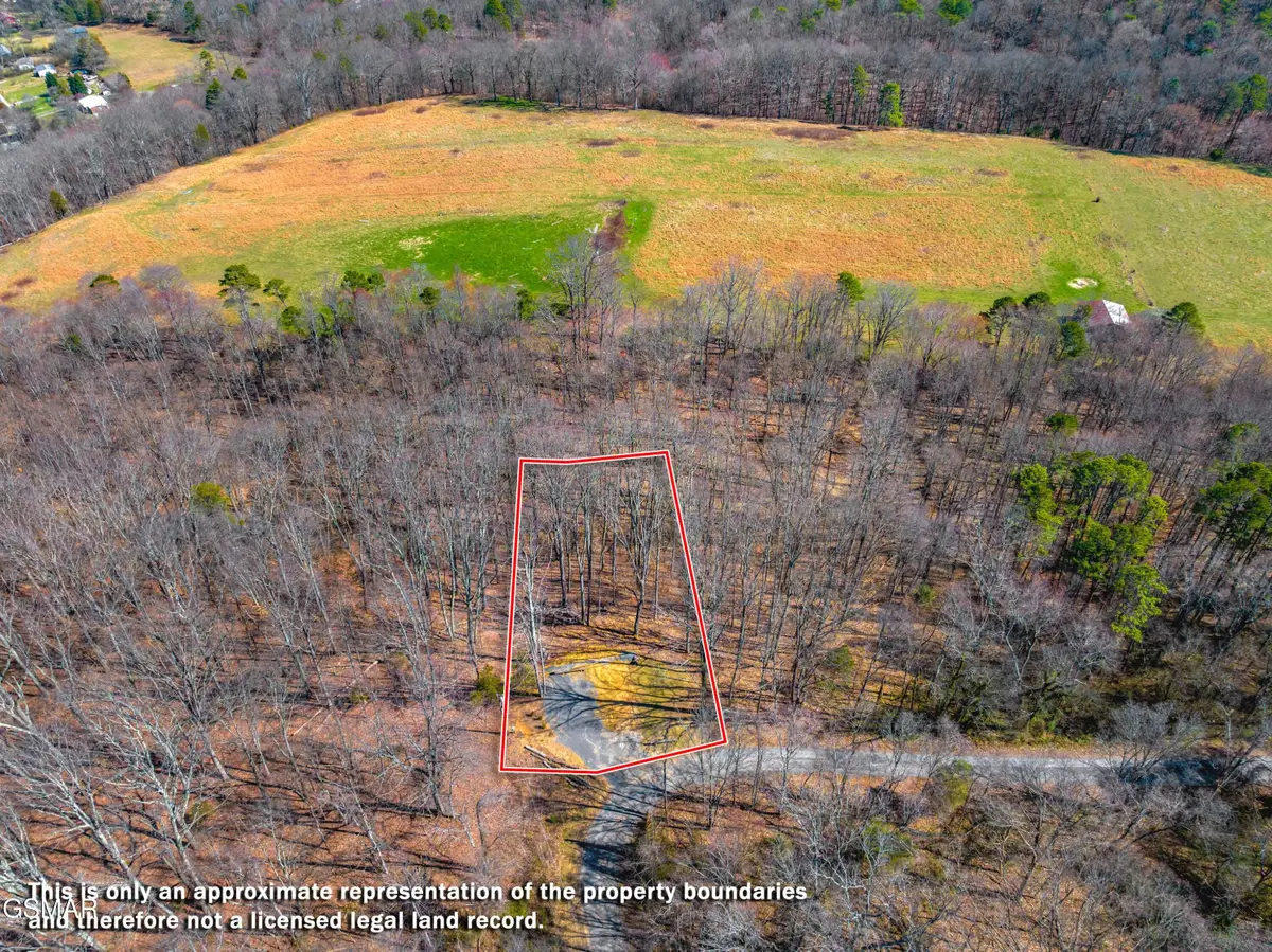 701 Michaels Way, Newport, TN 37821 - Image #1