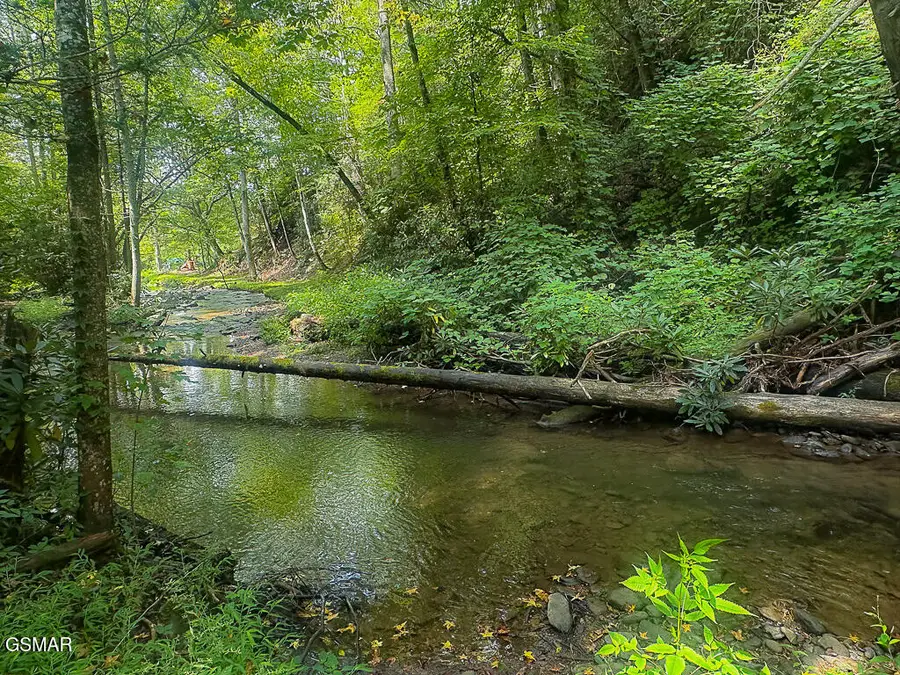 134 Wildwood Way, Gatlinburg, TN 37738 - Image #3