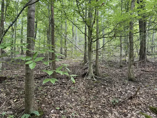 6acres Trentham Rd Off, Newport, TN 37821