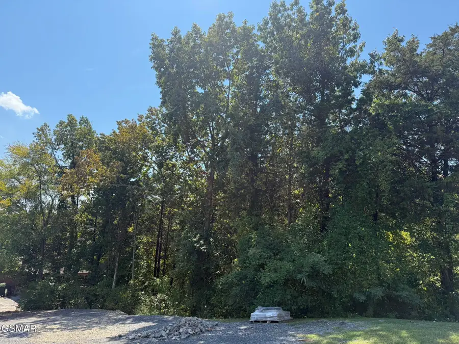 320 Oak Haven Way Way, Sevierville, TN 37876 - Image #3