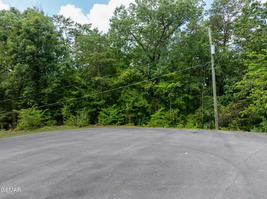 Lot 56 Blue Byrd Lane, Kodak, TN 37764 - Image #2