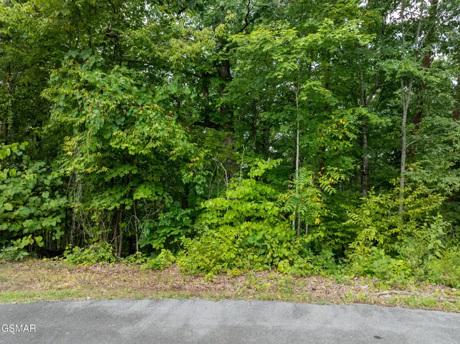 Lot 56 Blue Byrd Lane, Kodak, TN 37764 - Image #3