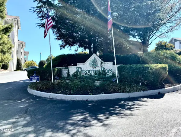 205 Ogle Drive #341, Pigeon Forge, TN 37863