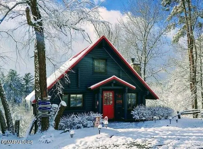 1003 Walini Way, Sevierville, TN 37876 - Image #3