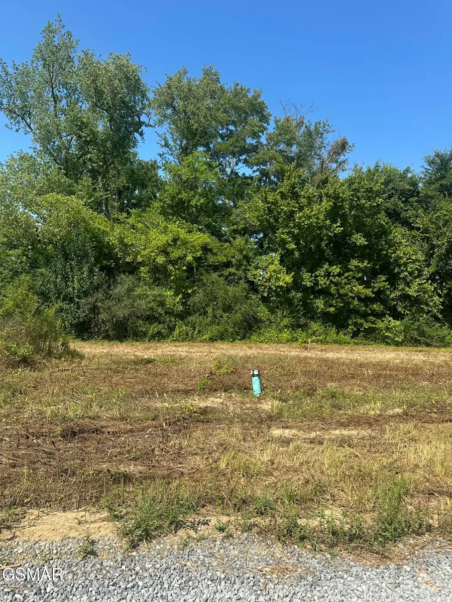 540 Henderson Road #134, Pigeon Forge, TN 37863 - Image #2