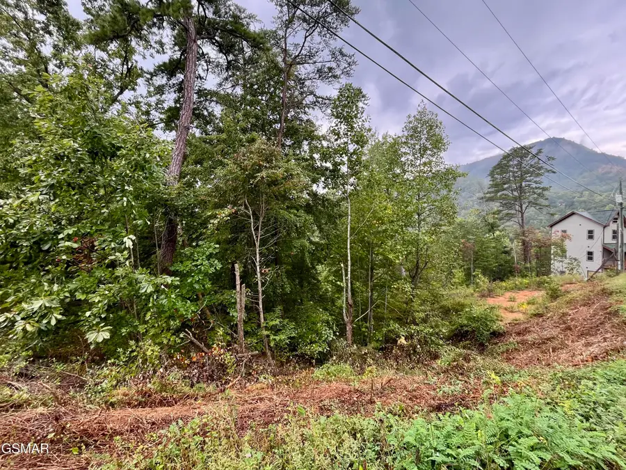 1727 Bluff Ridge Road, Sevierville, TN 37876 - #2