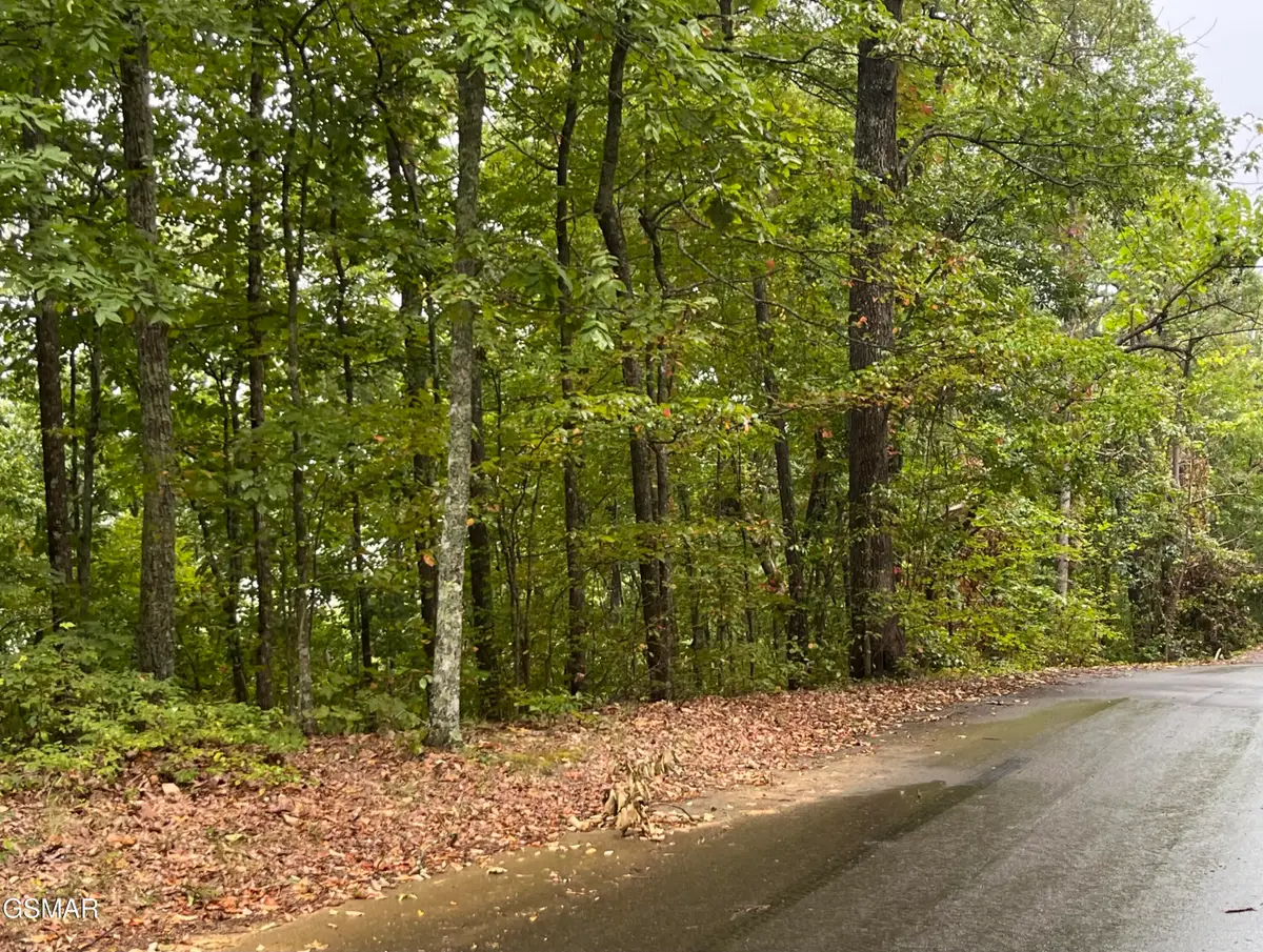 2643/2647 Sawmill Branch Drive, Sevierville, TN 37862 - Image #1