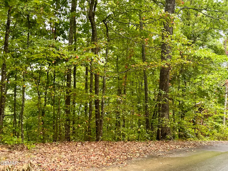 2643/2647 Sawmill Branch Drive, Sevierville, TN 37862 - Image #3