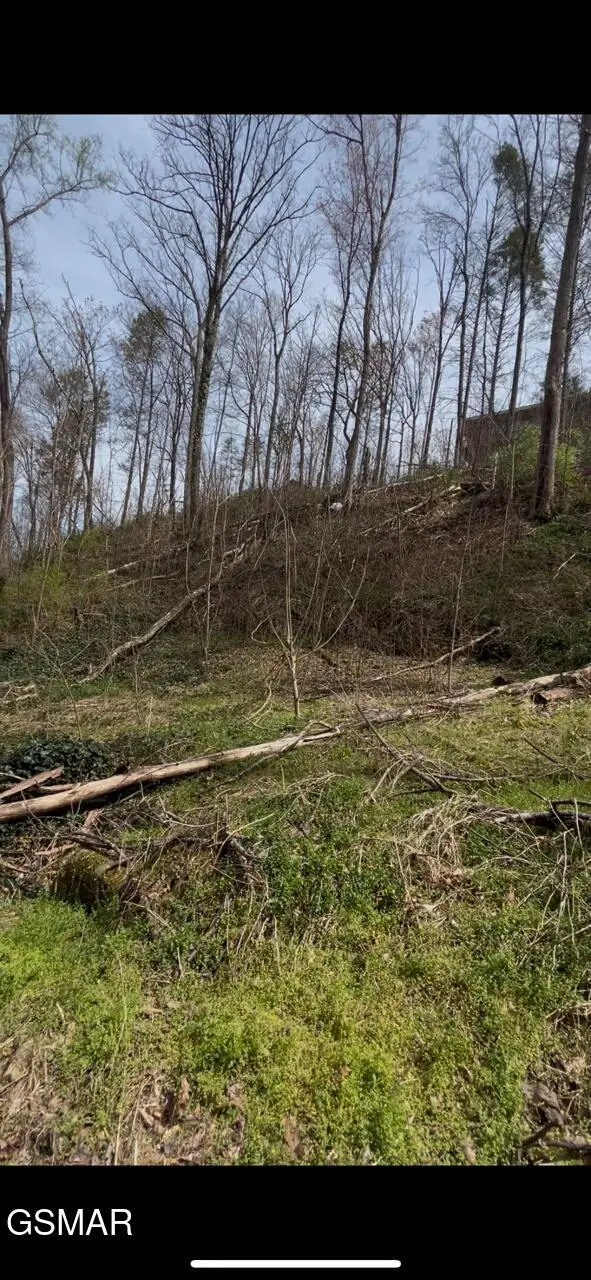 337 Silverbell Ln Lane, Gatlinburg, TN 37738