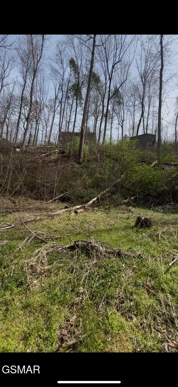 341 Silverbell Ln., Gatlinburg, TN 37738