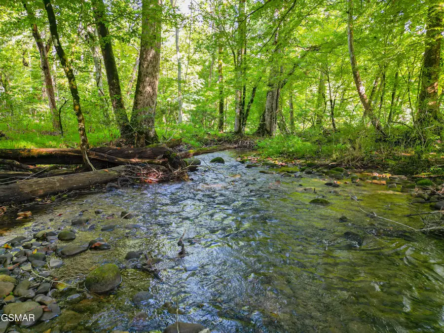 60 +/- acs Cosby Highway, Cosby, TN 37722 - Image #2