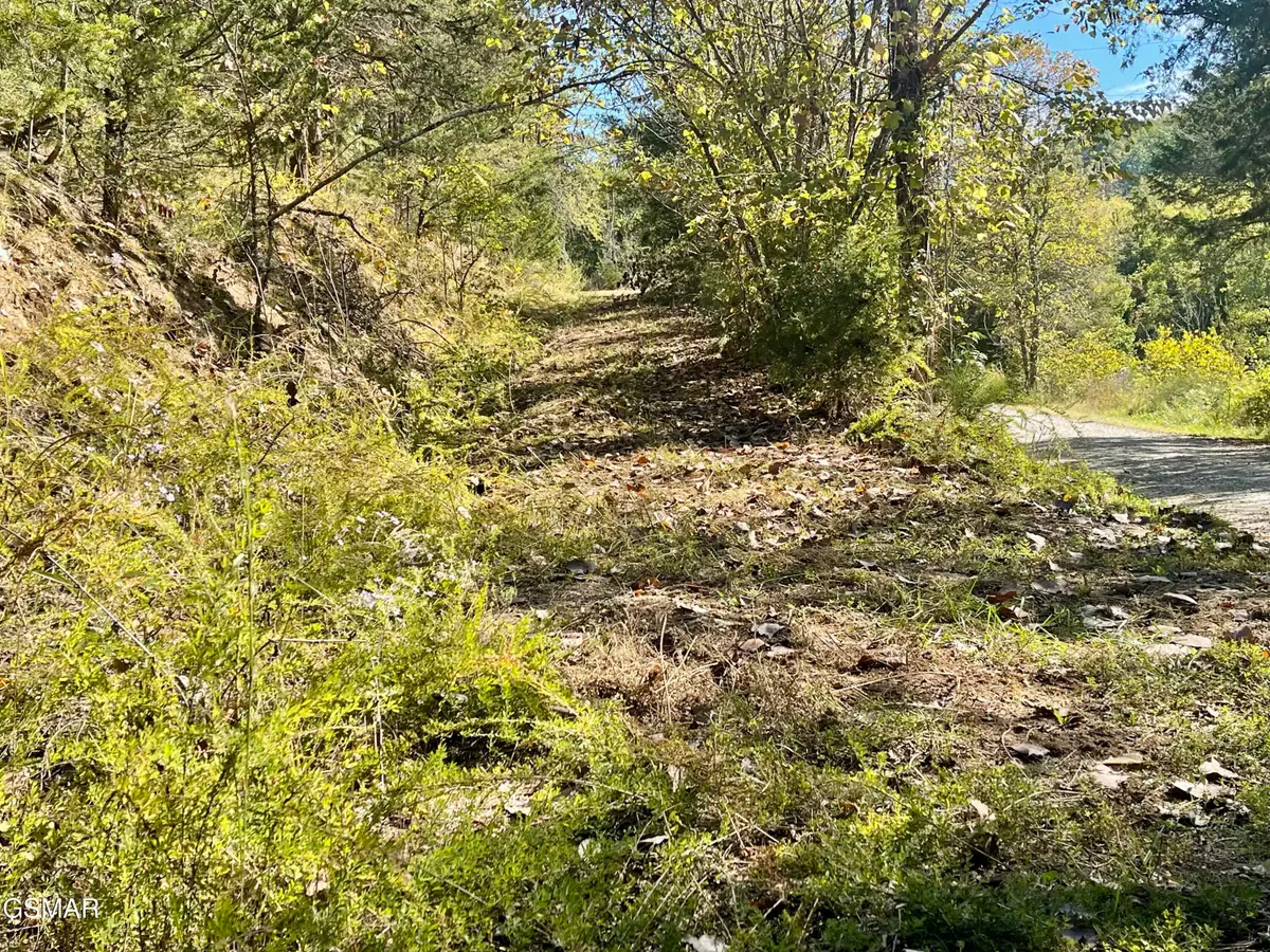 0 Thurman Road, Newport, TN 37821 - Image #1