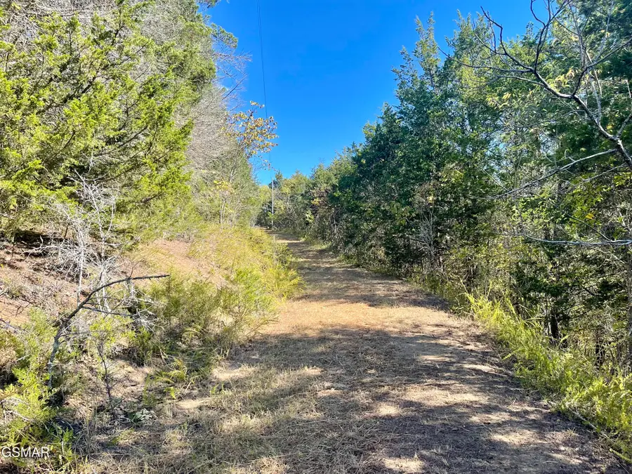 0 Thurman Road, Newport, TN 37821 - Image #2